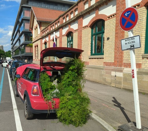 roter Mini voller Grünflanzen