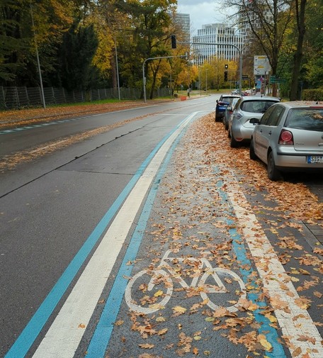 Radstreifen an der Stresemannstraße voller Laub