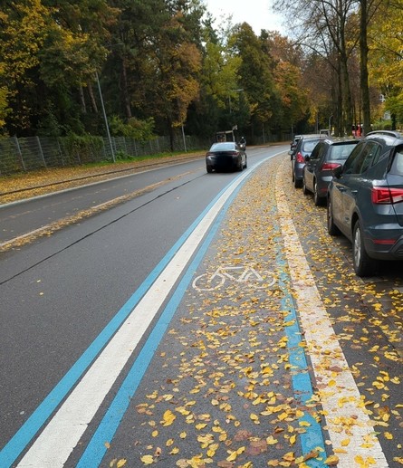Radstreifen an der Stresemannstraße voller Laub