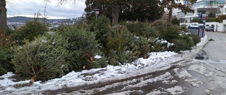 durch Christbäume komplett blockierter Gehweg, hier von der anderen Seite, die Altglascontainer sind auch hier zu sehen.