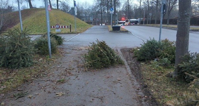 Christbäume auf dem Gehweg, um die auch schon durch die Grünfläche herum gefahren wurde
